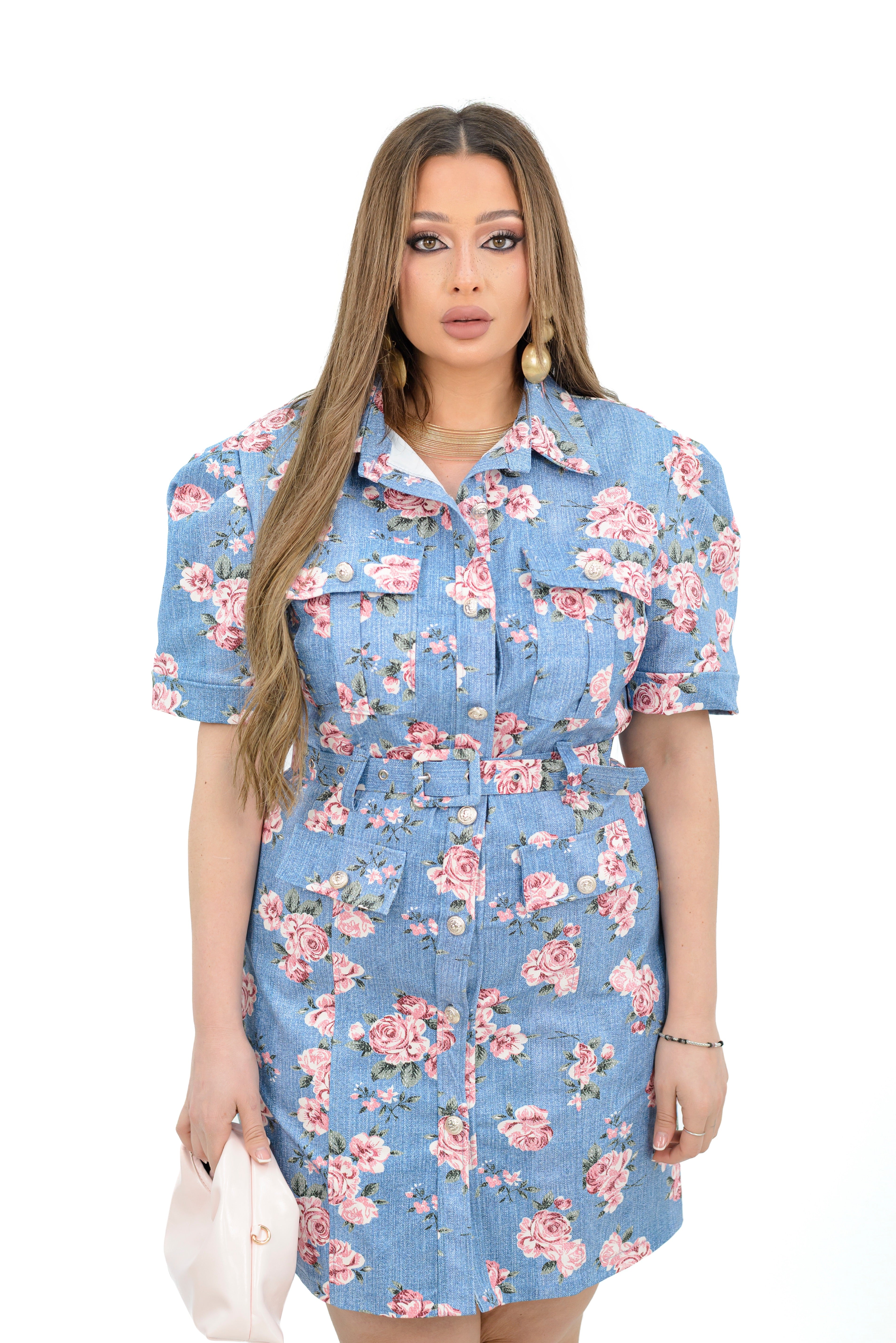 Dress Carrette